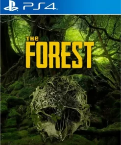 the forest
